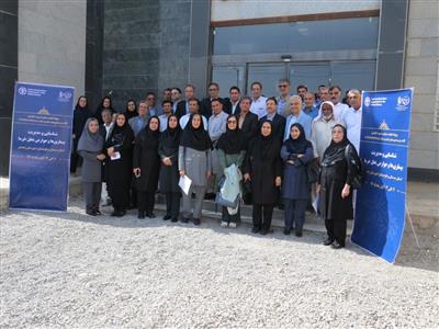 آغاز فاز اجرایی پروژه مدیریت تلفیقی آفات و بیماری‌های نخل خرما در سیستان و بلوچستان